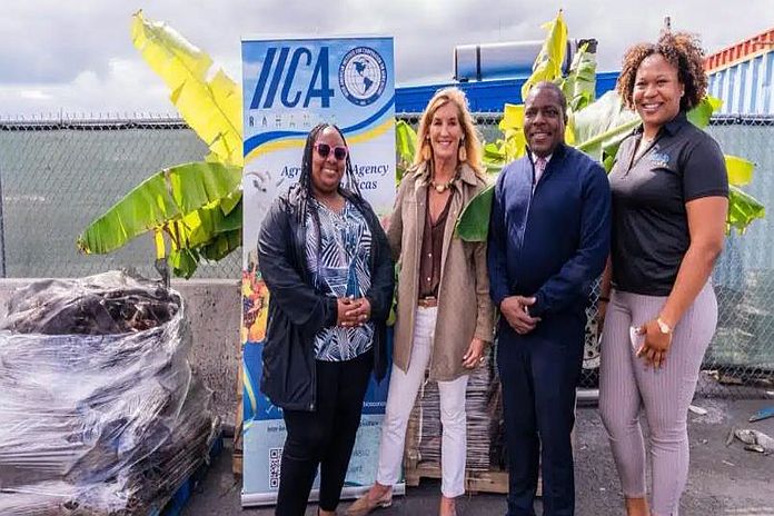 The Bahamas – IICA distributes supplies to farmers affected by hurricane Melissa