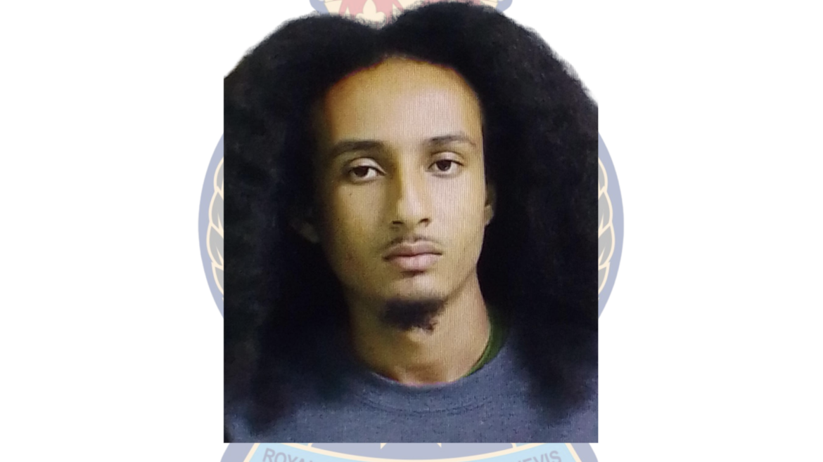 Multiple Larceny Charges Laid Against raphael Simmons