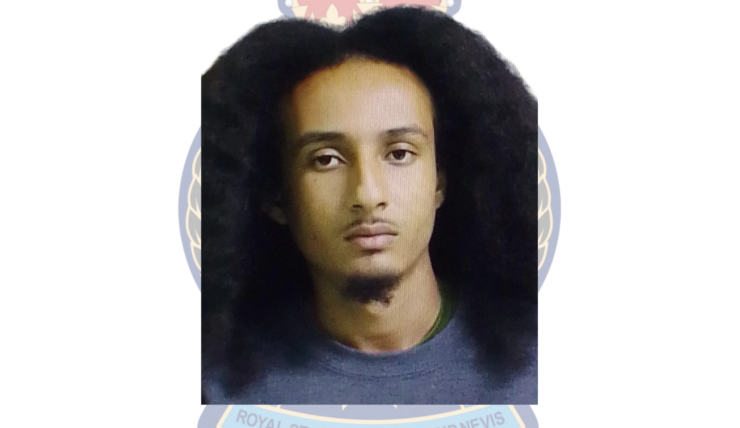 Multiple Larceny Charges Laid Against raphael Simmons