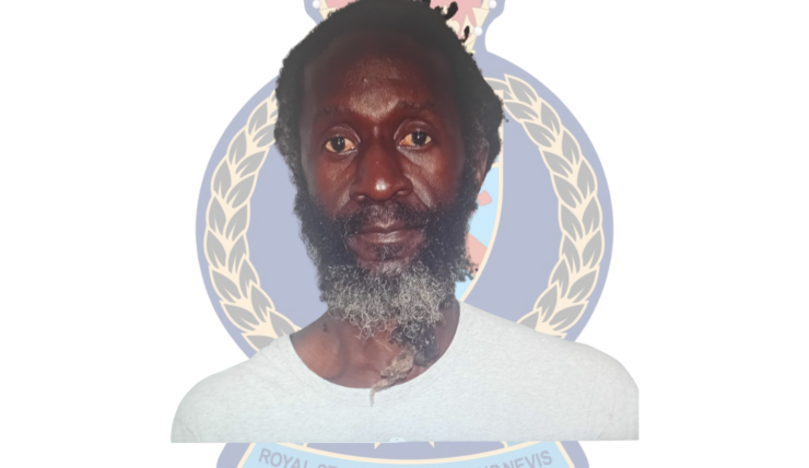 Ronald King Charged With Cannabis Cultivation Offences