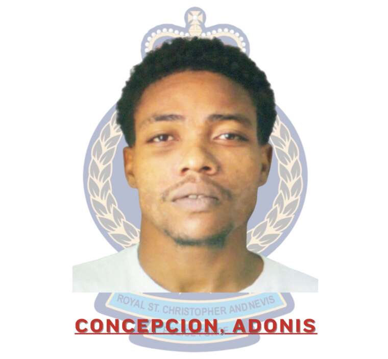 Firearm Contraband Recovered, Multiple Charges Laid Against Adonis Concepcion