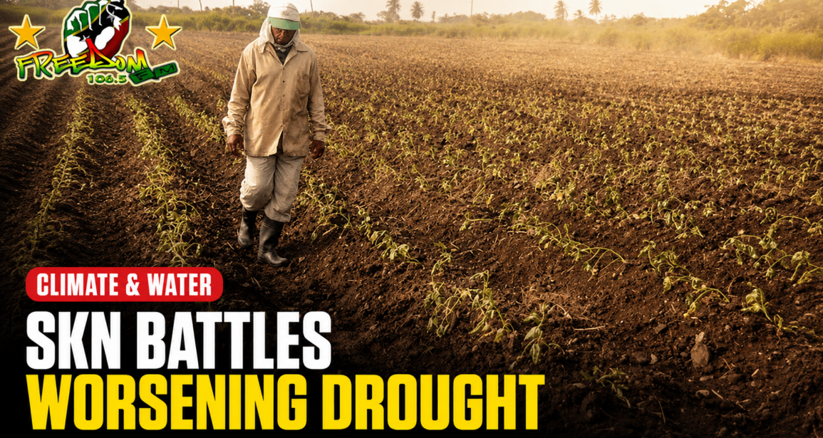 SKN BATTLES WORSENING DROUGHT