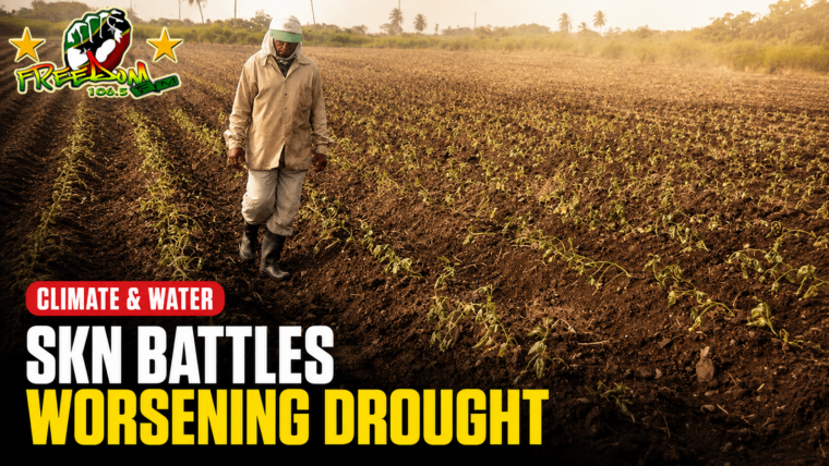 SKN BATTLES WORSENING DROUGHT