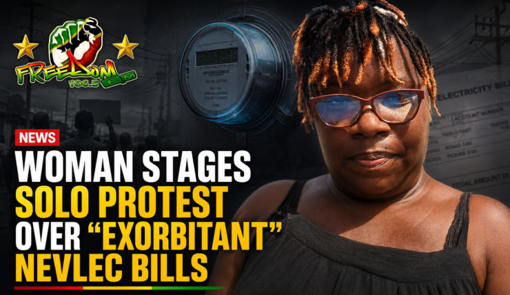 WOMAN STAGES SOLO PROTEST OVER “EXORBITANT” NEVLEC BILLS