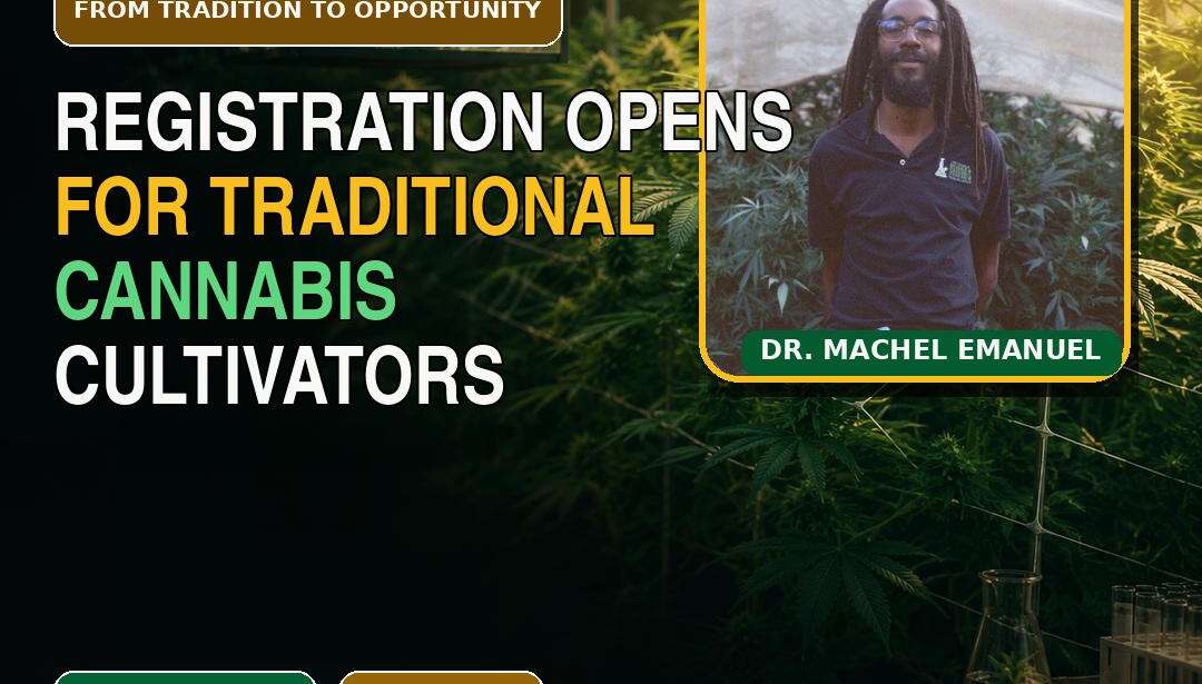 REGISTRATION OPENS FOR TRADITIONAL CANNABIS CULTIVATOR PROGRAMME
