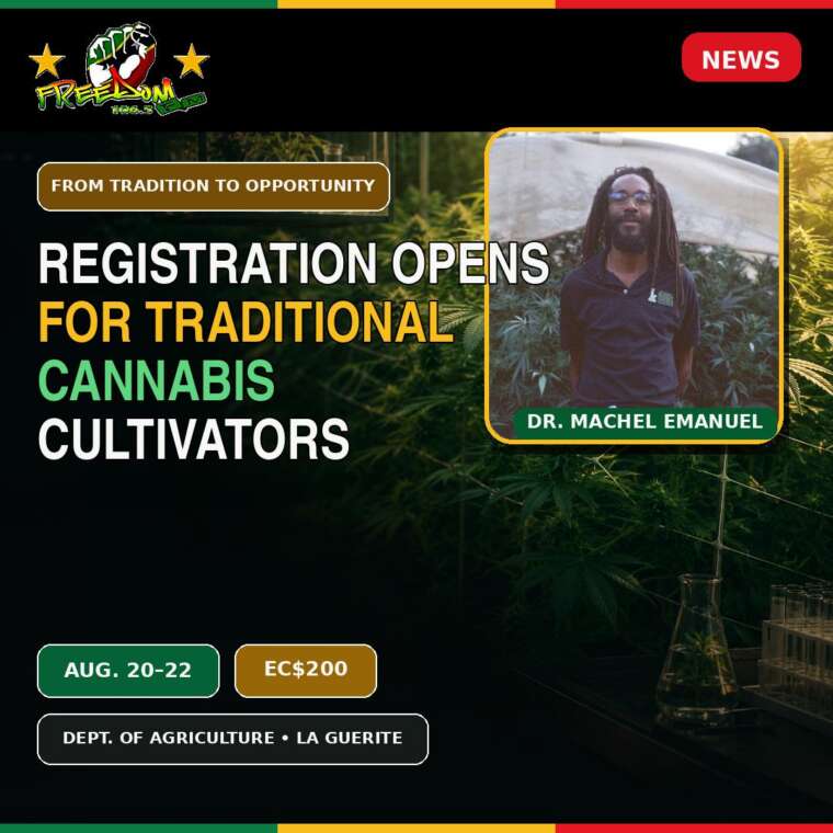 REGISTRATION OPENS FOR TRADITIONAL CANNABIS CULTIVATOR PROGRAMME